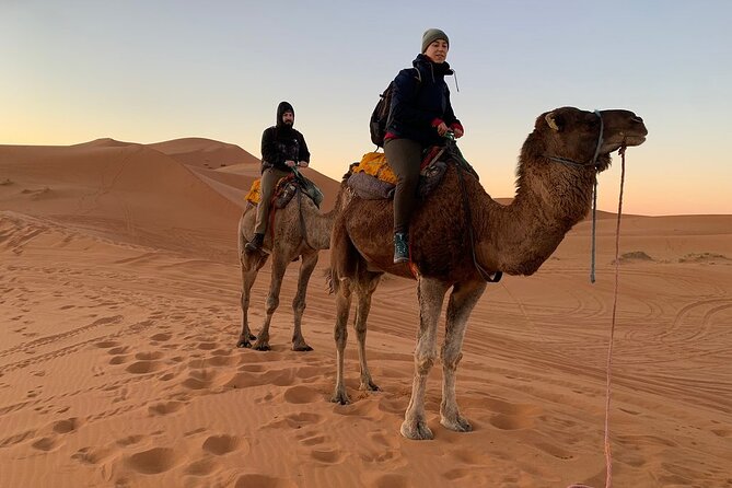 Luxury 2-Days Desert Trip from Fes to.:( fes or marakech) - Sunrise, breakfast, and the long road back