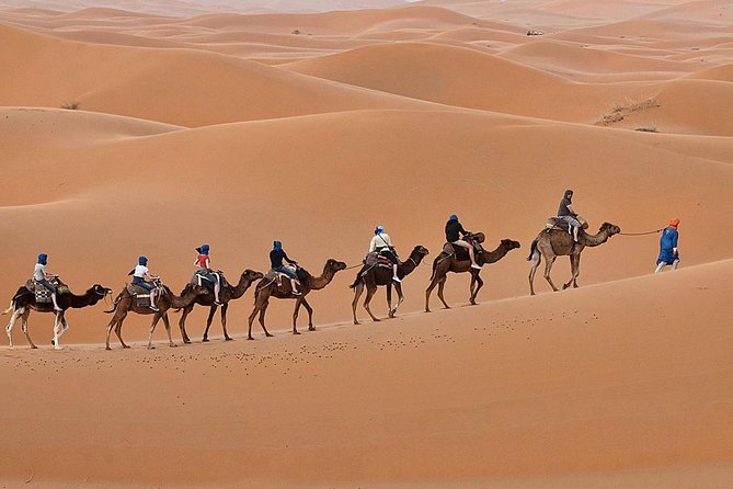 Luxury 2-Days Desert Trip from Fes to.:( fes or marakech) - Ifrane and Azrou: Morocco changes character fast