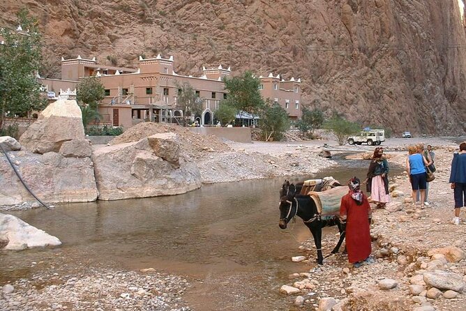 luxury 3 Days 2 Nights Desert Tour from Fez to Marrakesh - Should You Book It?