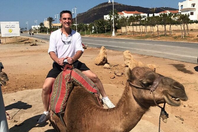 luxury 4 Hour Private Tour of Tangier - Why this private Tangier tour works well