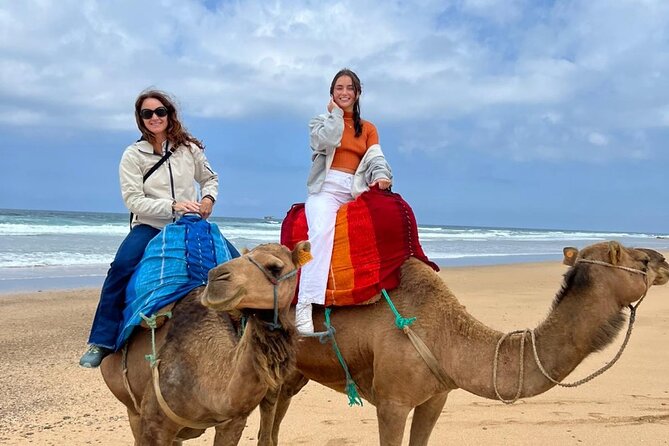 luxury 4 Hour Private Tour of Tangier - Parc Perdicaris and the road toward the Atlantic
