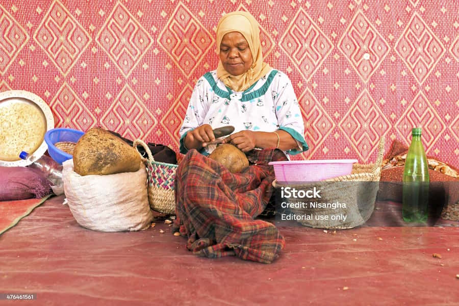 Luxury day trip to Essaouira from Marrakech - Four hours to shape as you please