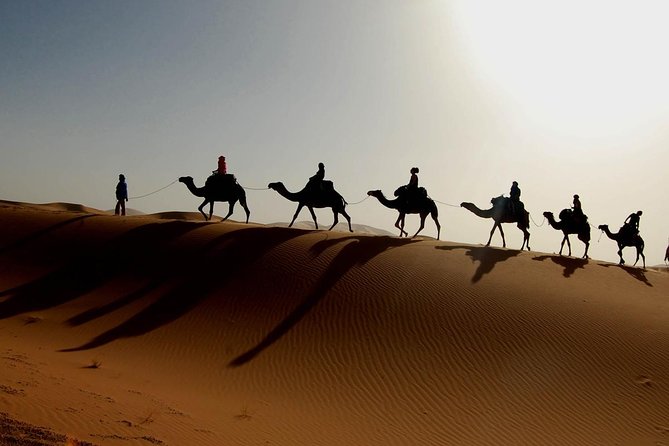 luxury desert tour 3days 2 night fez merzouga ouarzazat marakech - From Fez to the cedar forest and Ziz Gorge