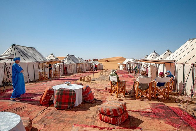Luxury Overnight Sahara Desert trip fez Back to Fez or Marrakech - Azrou and the famous macaques