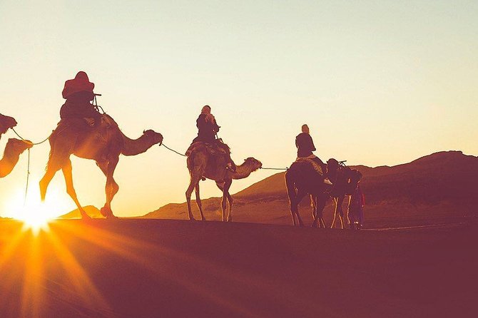 Luxury Overnight Sahara Desert trip fez Back to Fez or Marrakech - Erfoud and the Ziz Valley