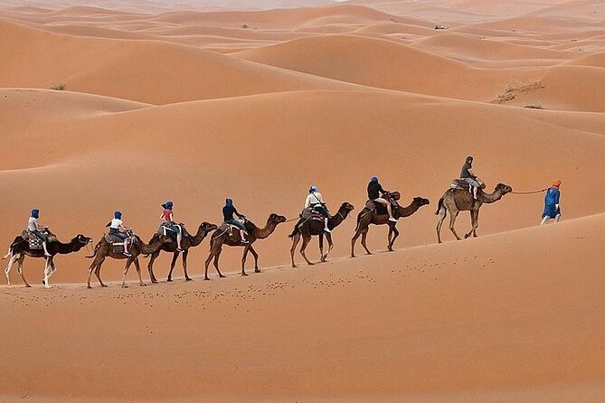 Luxury Sahara Desert From Fez back to fez or marrakech overnight - One hour by camel into the Erg Chebbi dunes