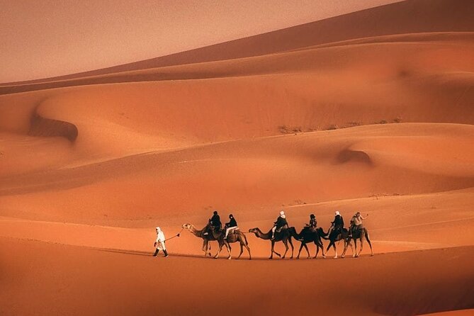 Magical Morocco 8 day - Casablanca begins with a simple welcome