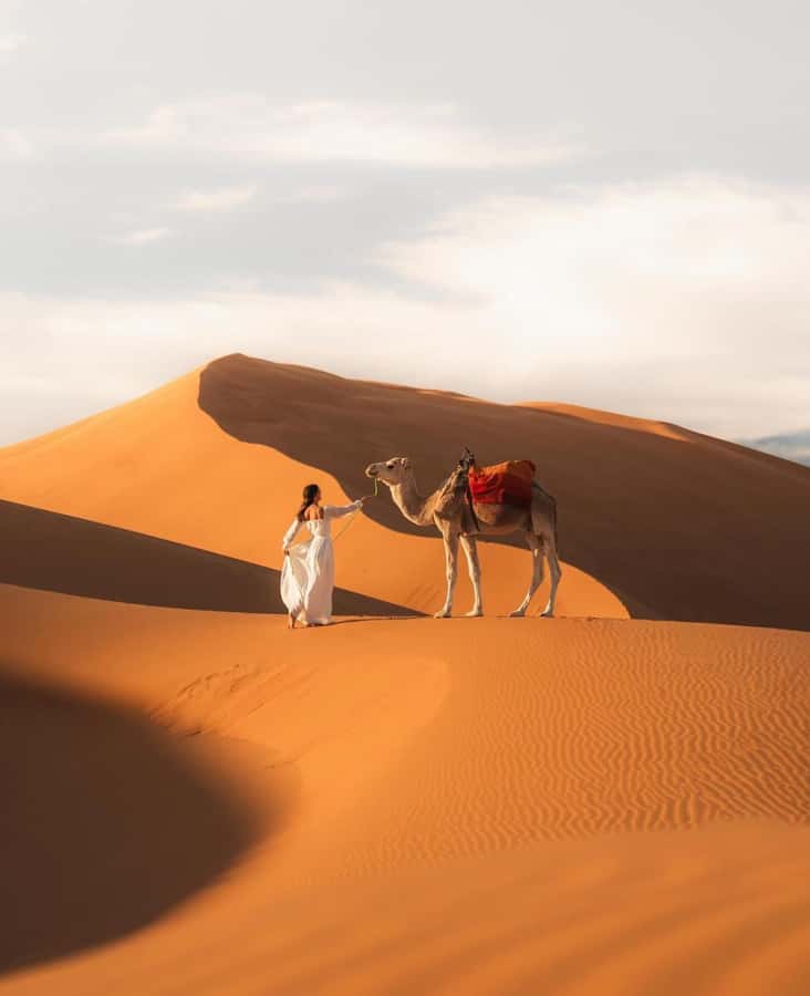 Majestic Desert: 3-Day Luxury Journey from Marrakech to Fes - Why this route works as a three-day journey