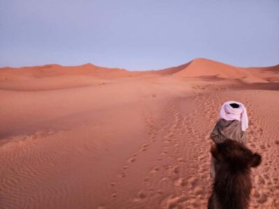 Majestic Desert: 3-Day Luxury Journey from Marrakech to Fes
