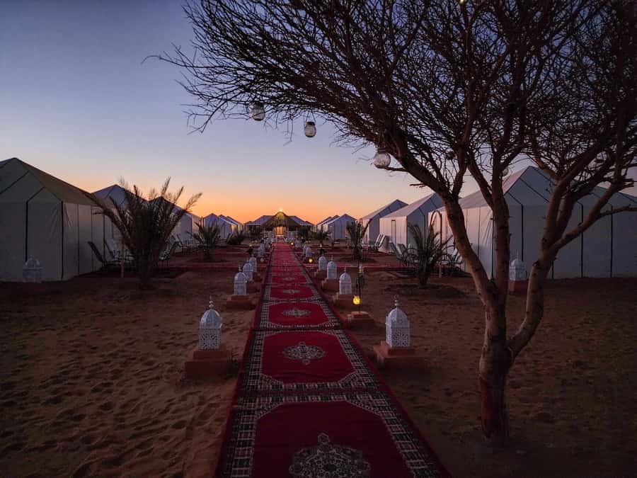 Majestic Desert: 3-Day Luxury Journey from Marrakech to Fes - Transport, group size, and the reality of the road