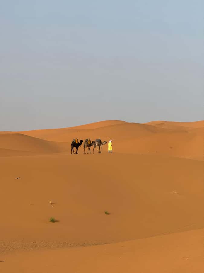Majestic Desert: 3-Day Luxury Journey from Marrakech to Fes - What is included, and where extra costs appear