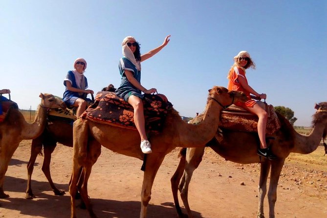 Marical dinner and camel ride at sunset in Desert of Marrakech - The Asni Valley argan-oil stop