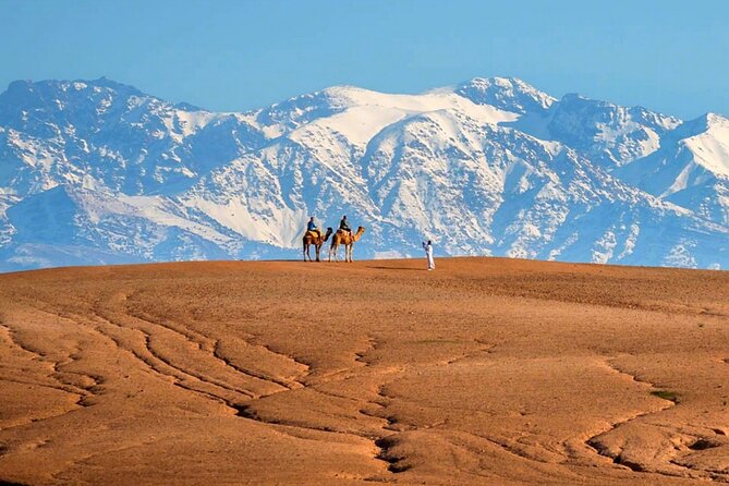 Marical dinner and camel ride at sunset in Desert of Marrakech - Who will get the most from this outing