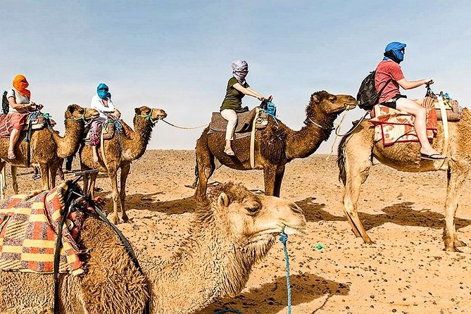 Marrakech: 1 Day Tour-Best of the Atlas Mountains &Three Valleys - The Three Valleys and the Walk to a Waterfall