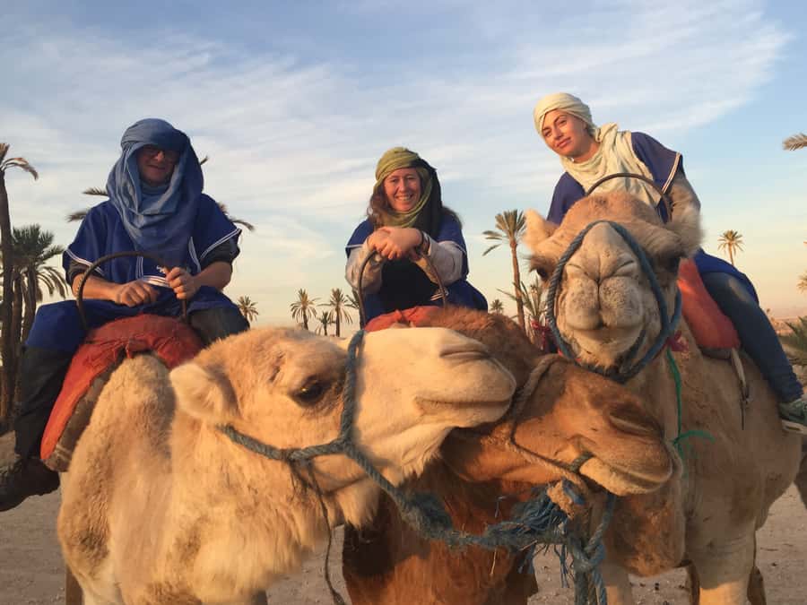 Marrakech : 1-Hour Camel Ride Through the Palm Grove - Practical Tips for a Better Ride