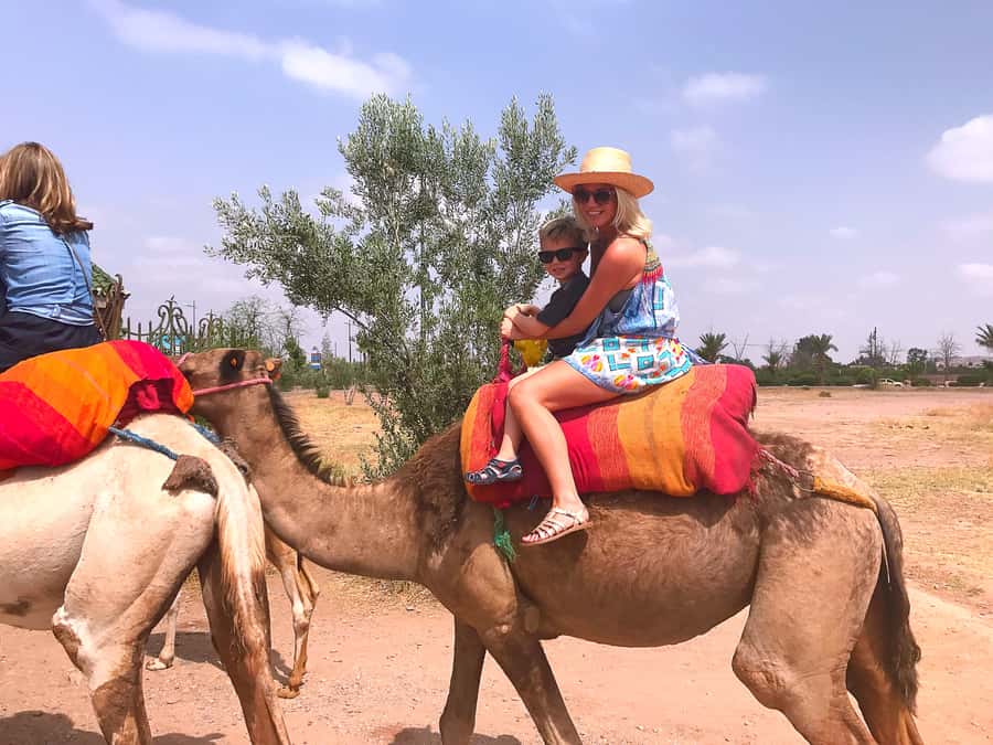 Marrakech : 1-Hour Camel Ride Through the Palm Grove - Leaving Marrakech for the Palmeraie