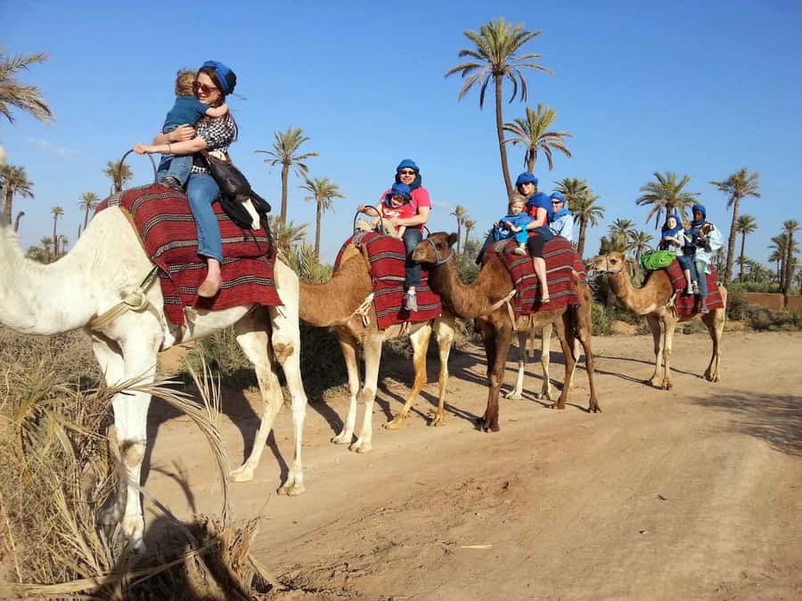 Marrakech : 1-Hour Camel Ride Through the Palm Grove - Wearing the Cheich and Seeing Village Life