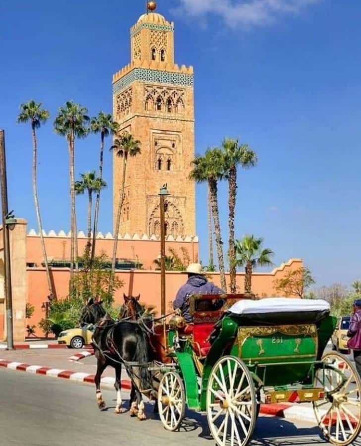 Marrakech: 1-Hour Traditional Horse-Drawn Carriage Tour - Key points to know before you book