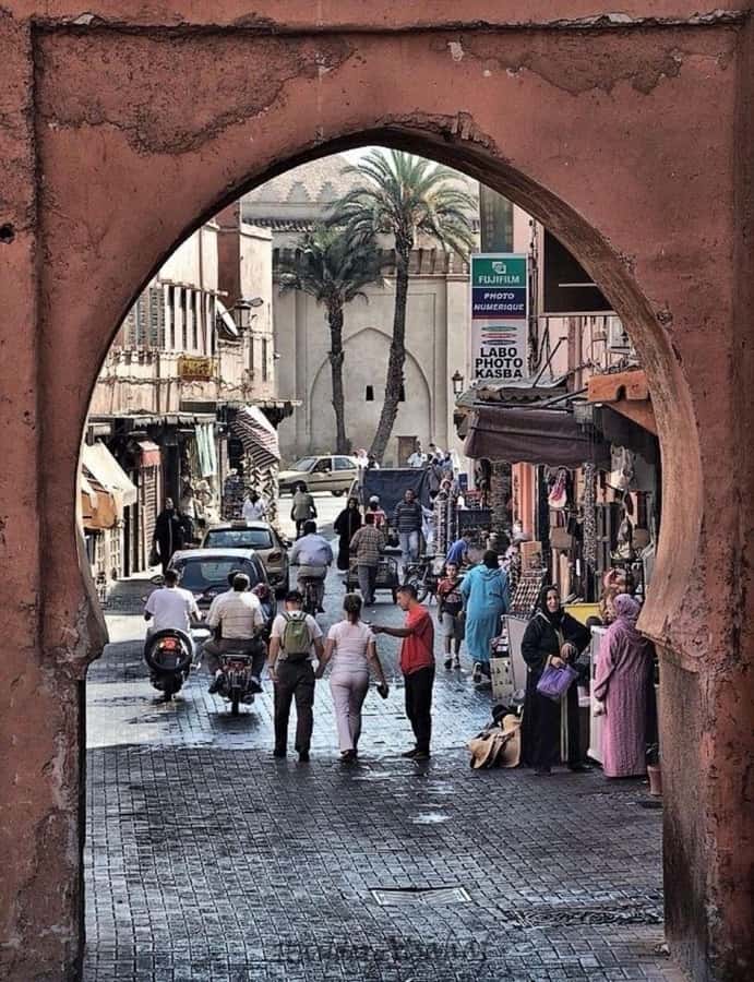 Marrakech: 1-Hour Traditional Horse-Drawn Carriage Tour - The animal welfare question