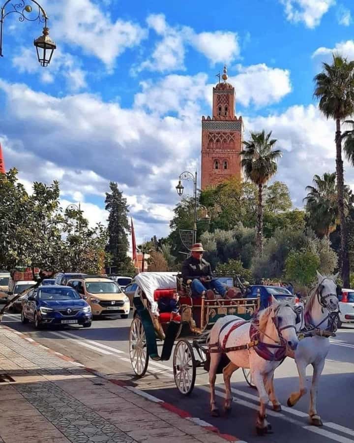 Marrakech: 1-Hour Traditional Horse-Drawn Carriage Tour - Passing Jemaa el-Fnaa and the Koutoubia Mosque