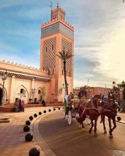 1-Hour Traditional Horse-Drawn Carriage Tour