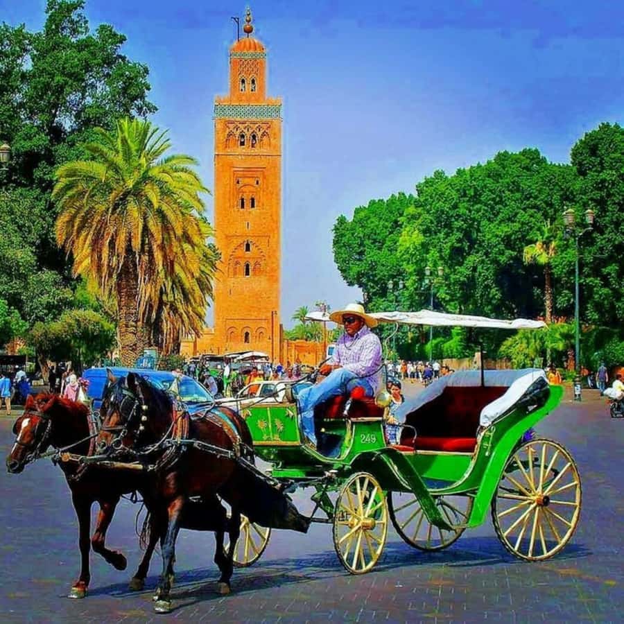 Marrakech: 1-Hour Traditional Horse-Drawn Carriage Tour - What the guide adds to the ride