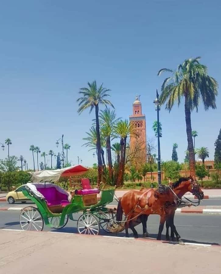 Marrakech: 1-Hour Traditional Horse-Drawn Carriage Tour - Guide languages and family appeal