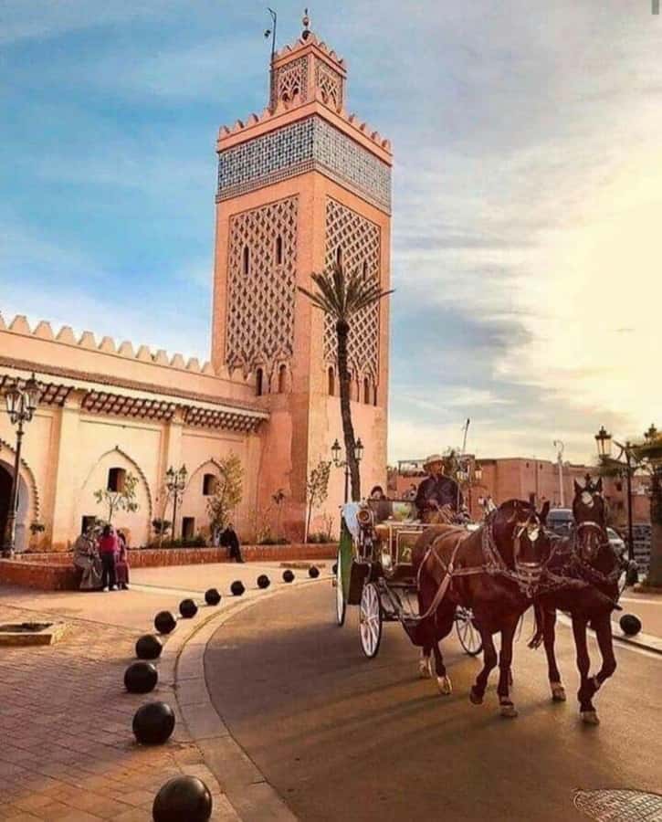 Marrakech: 1-Hour Traditional Horse-Drawn Carriage Tour - Starting with hotel pickup in Marrakesh