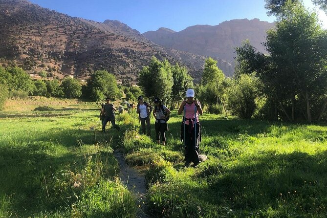 Marrakech: 2-Day Atlas Mountains Trek with Village Stay - Key points to know before you book
