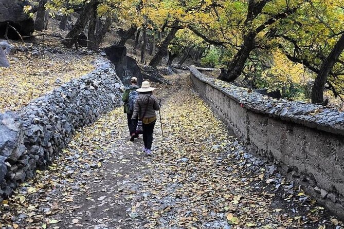 Marrakech: 2-Day Atlas Mountains Trek with Village Stay - Down through juniper woods to Tizi Oussem