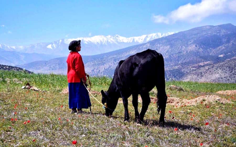 Marrakech: 2-Day Atlas Villages Trekking Tour - Tinmel, Oued Akoundiss, and the first village walk