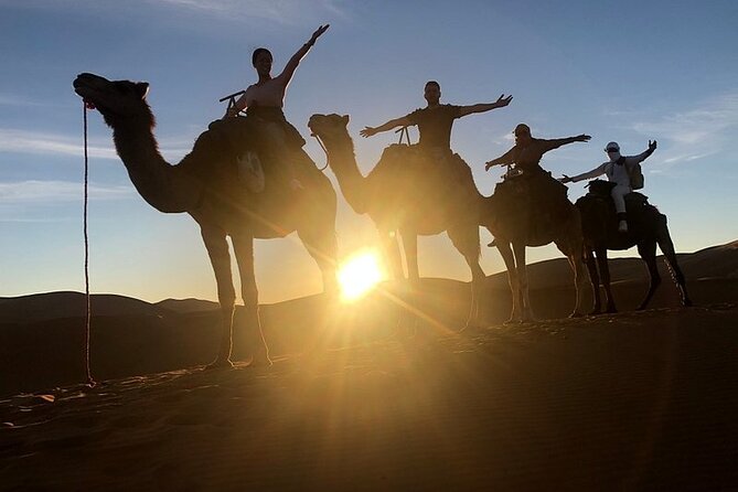 Marrakech: 2 Days tour to Sahara Zagora Desert & Ait-BenHaddou - Ouarzazate and the uncertain film-studio visit