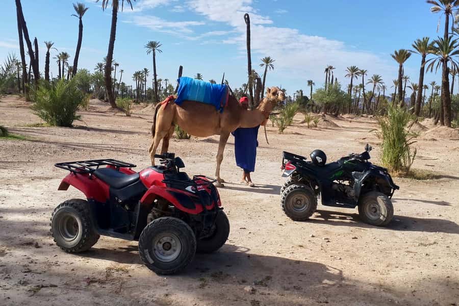 Marrakech: 2-Hour Quad Bike & Camel Ride in Palmeraie - Key points to know before booking