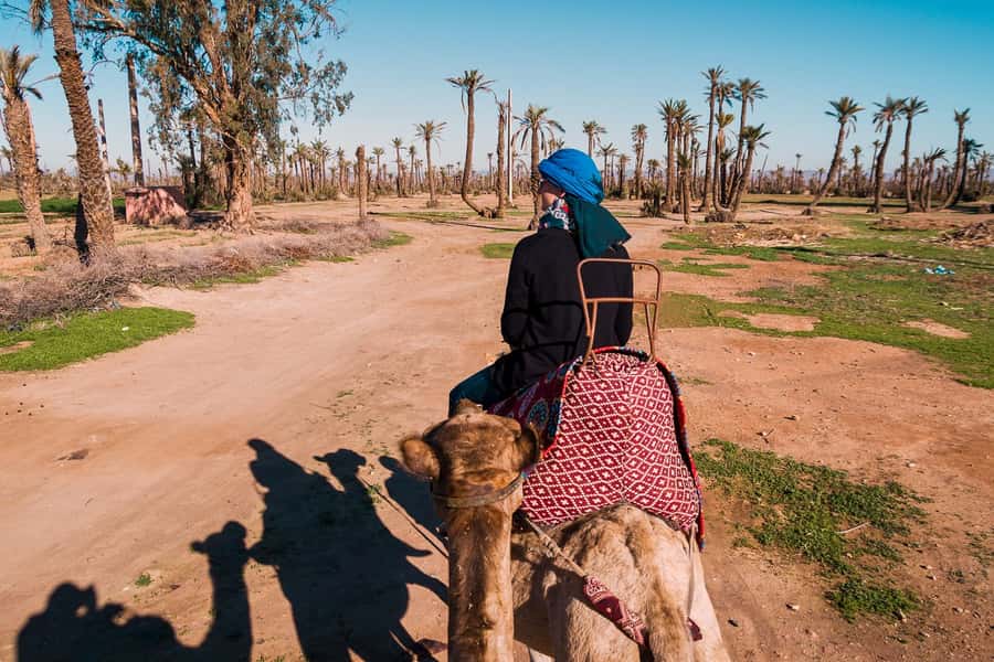 Marrakech: 2-Hour Quad Bike & Camel Ride in Palmeraie - The 30-minute ride from Marrakech to the Palmeraie