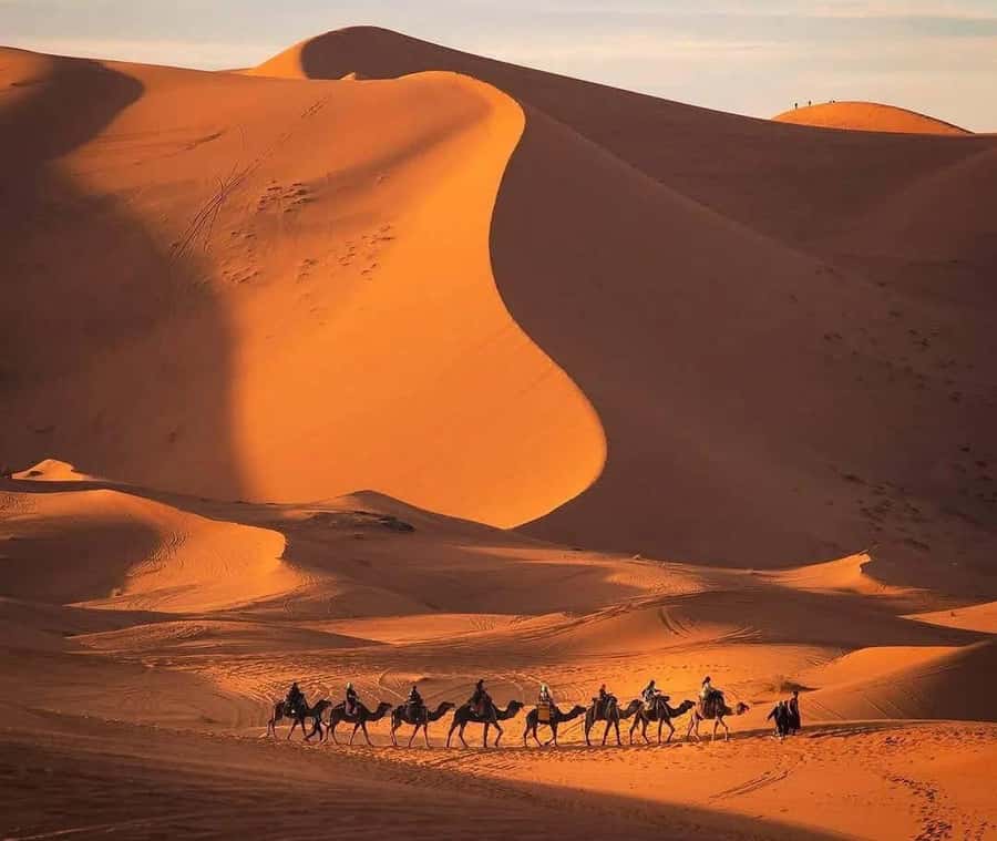 Marrakech: 3-day Exclusive Desert Luxury Tour; Quad & Camels - Who should book this tour?
