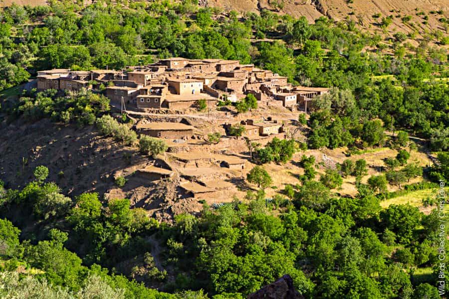 Marrakech: 3-Day High Atlas Mountains and Three Valleys Trek - Day 2: Tachdirt, Aguersiwal, Matat, and Ait Aissa