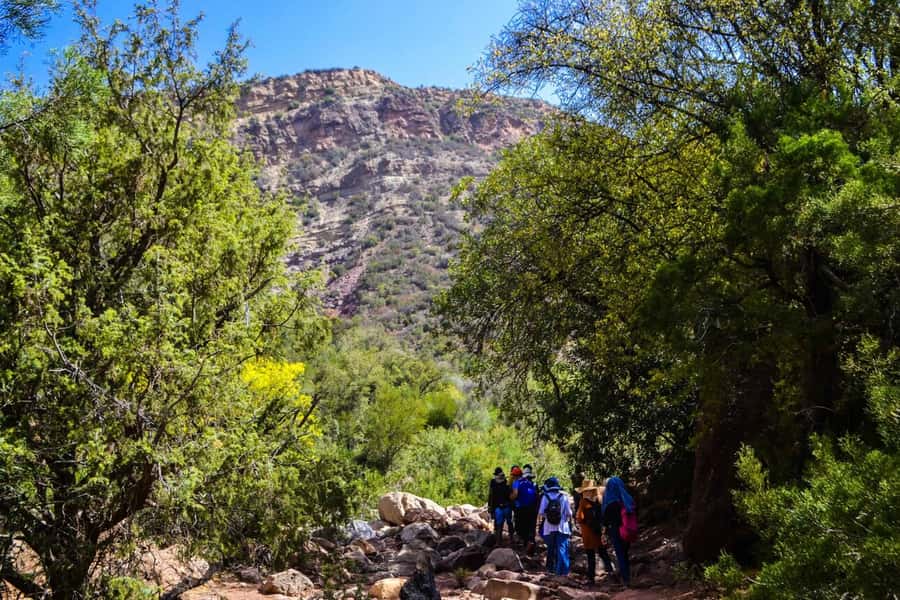 Marrakech: 3-Day High Atlas Mountains and Three Valleys Trek - The food, luggage support, and village hospitality