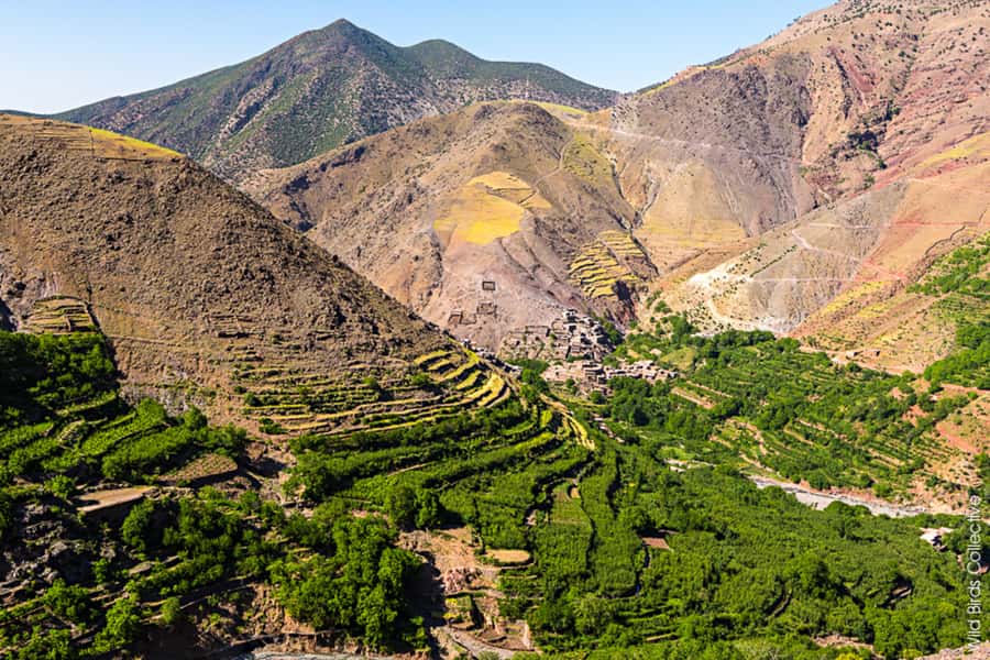 Marrakech: 3-Day High Atlas Mountains and Three Valleys Trek - Should you book this High Atlas trek?