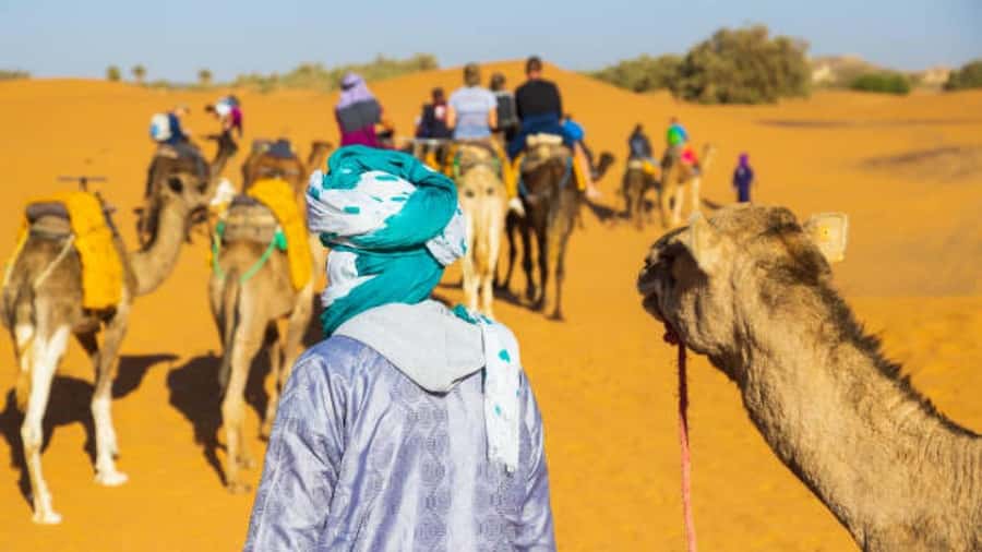 Marrakech: 3-Day Luxurious Desert Tour to Fes via Merzouga. - Should you book it?