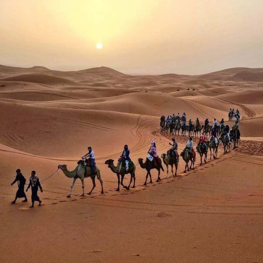 Marrakech: 3-Day Luxurious Desert Tour to Fes via Merzouga. - Day 1: High Atlas views and Ait Benhaddou