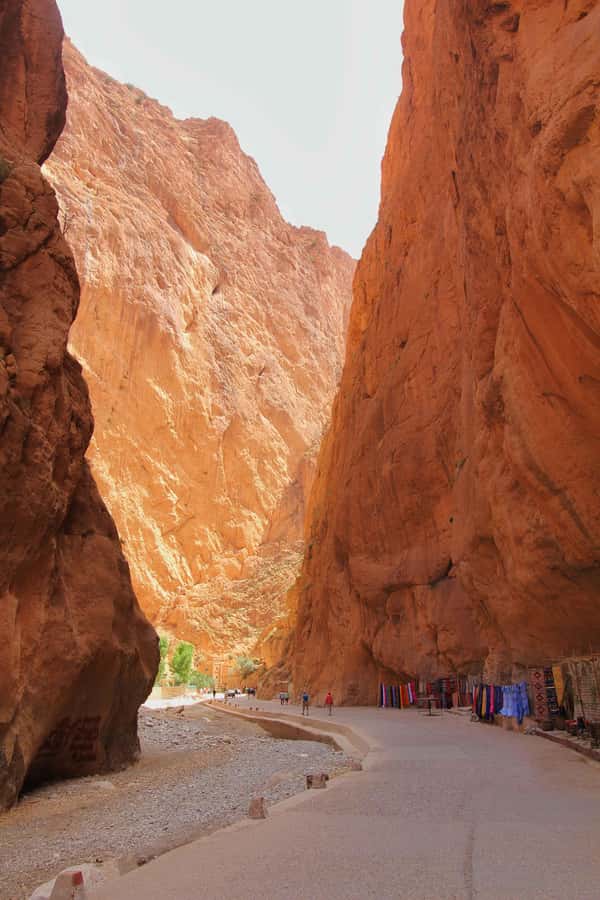 Marrakech: 3-Day Merzouga and Sahara Desert Tour - The minibus, group size, and guide quality