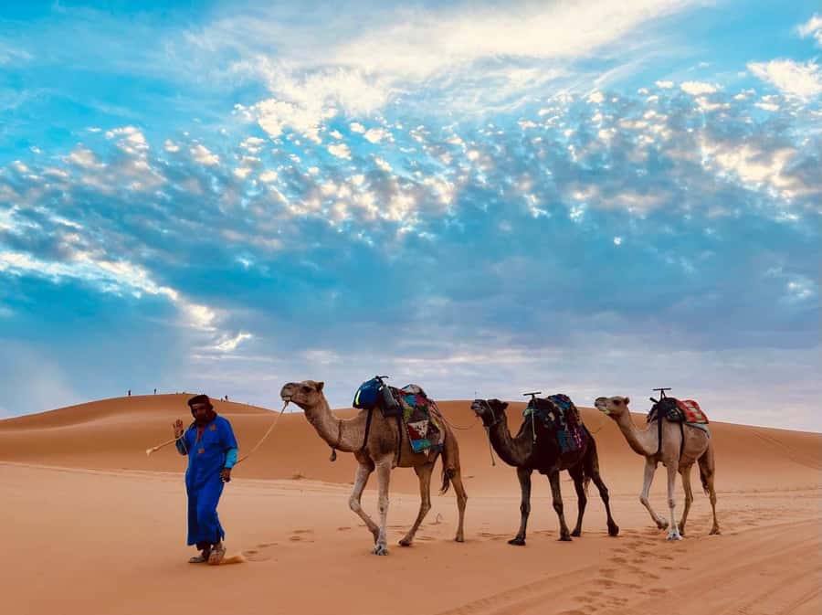Marrakech: 3-Day Merzouga Desert Tour Camel & Sandboarding - What the $113 price really covers
