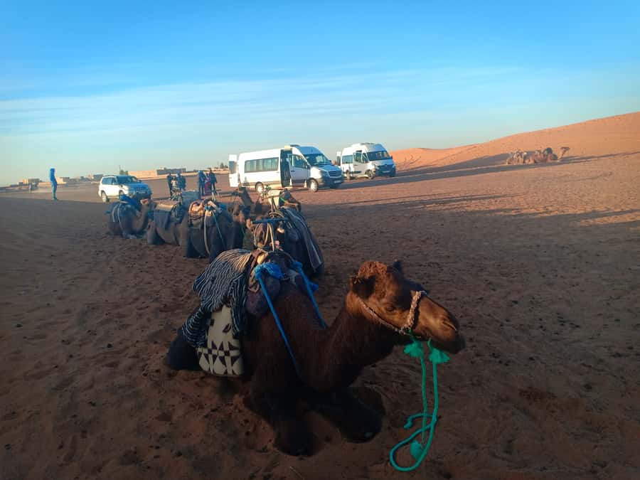 Marrakech: 3-Day Merzouga Sahara Desert Tour with Quad Ride - The guides can make or break the drive