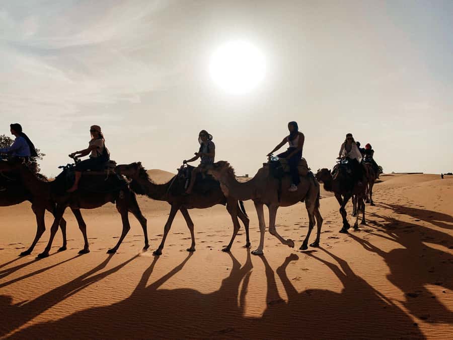 Marrakech: 3-Day Trip to Fez with Sandboarding & Camel Ride - Sunrise, Erfoud, and the long road onward