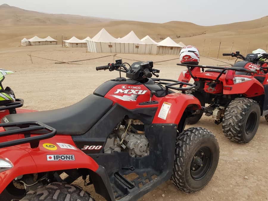 Marrakech: 3-Hour Quad Bike Adventure - Who will enjoy this ride most