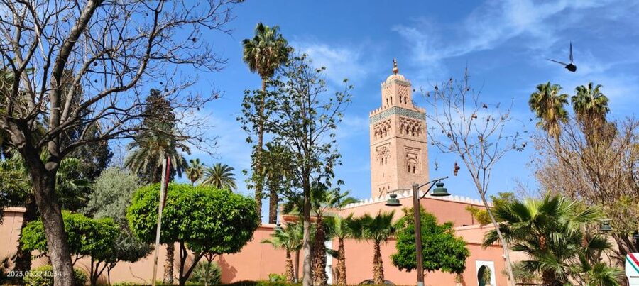 Marrakech 3-Hour Walking Tour - A fast introduction to Marrakech’s old city