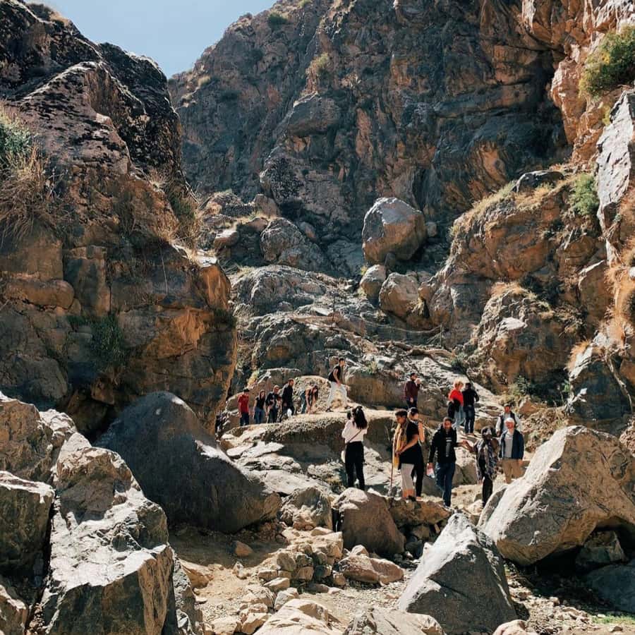 Marrakech 3 Valleys Private Tour, Waterfalls and Mountains - Sidi Fares Forest and the Asni Valley