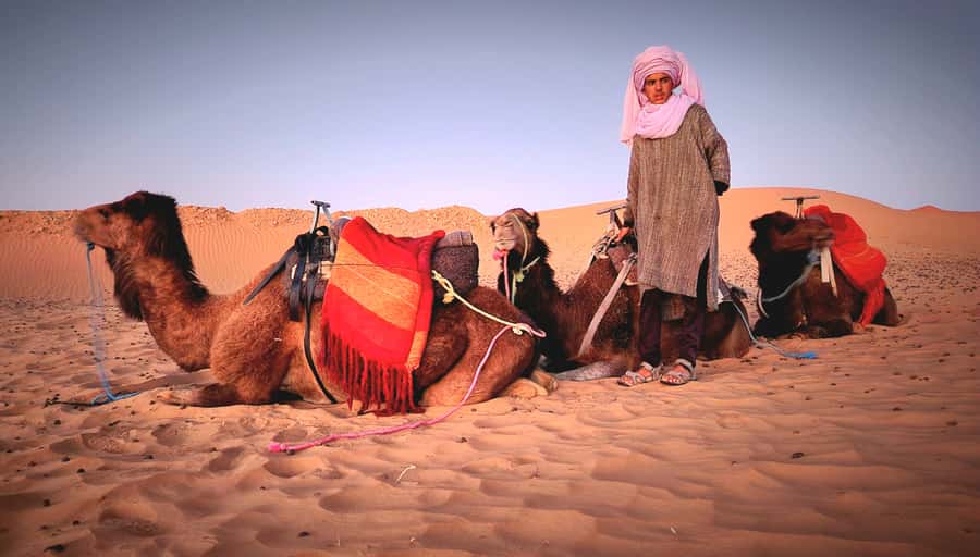Marrakech: 3Day Luxurious Merzouga Tour w/ Camel&Quad Option - Food, drinks, and extra costs