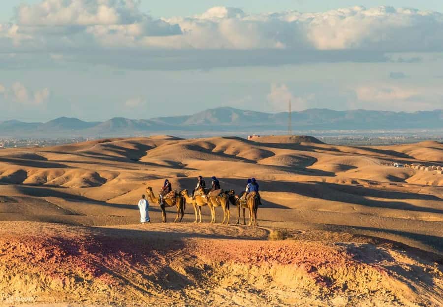 Marrakech Adventure: Agafay Desert Quad, Camel, Lunch - The swimming pool is more than a decorative extra