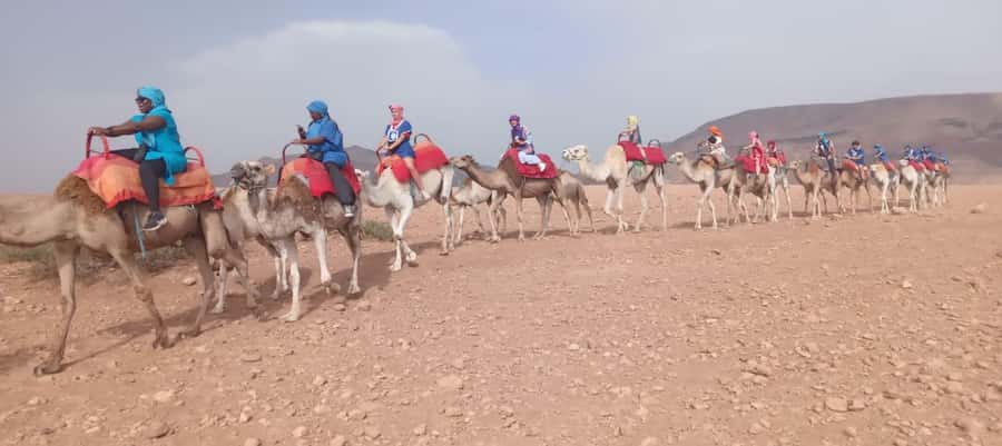 Marrakech Adventure: Agafay Desert Quad, Camel, Lunch - The $30 price makes sense if you want variety